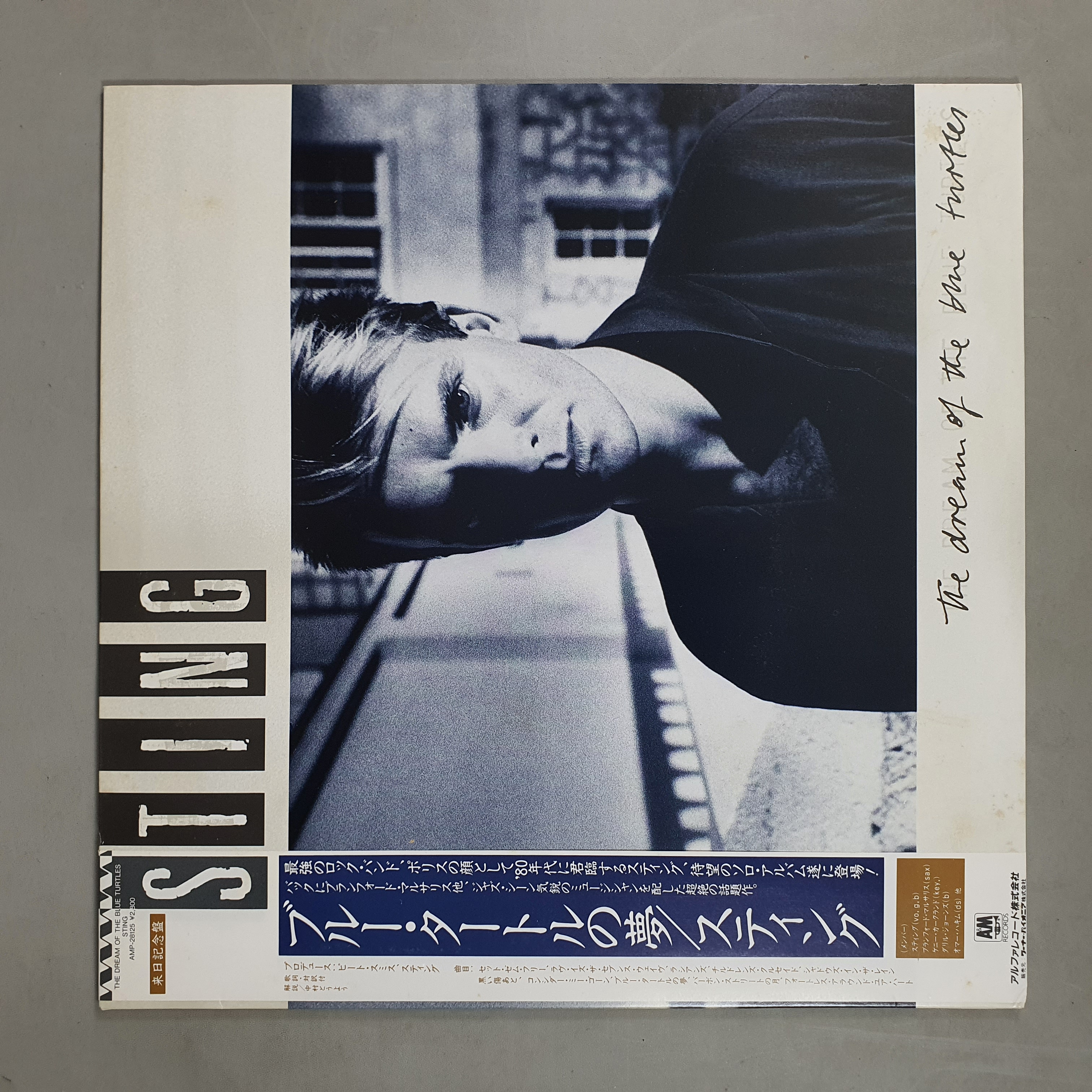 Sting - The Dream Of The Blue Turtles
