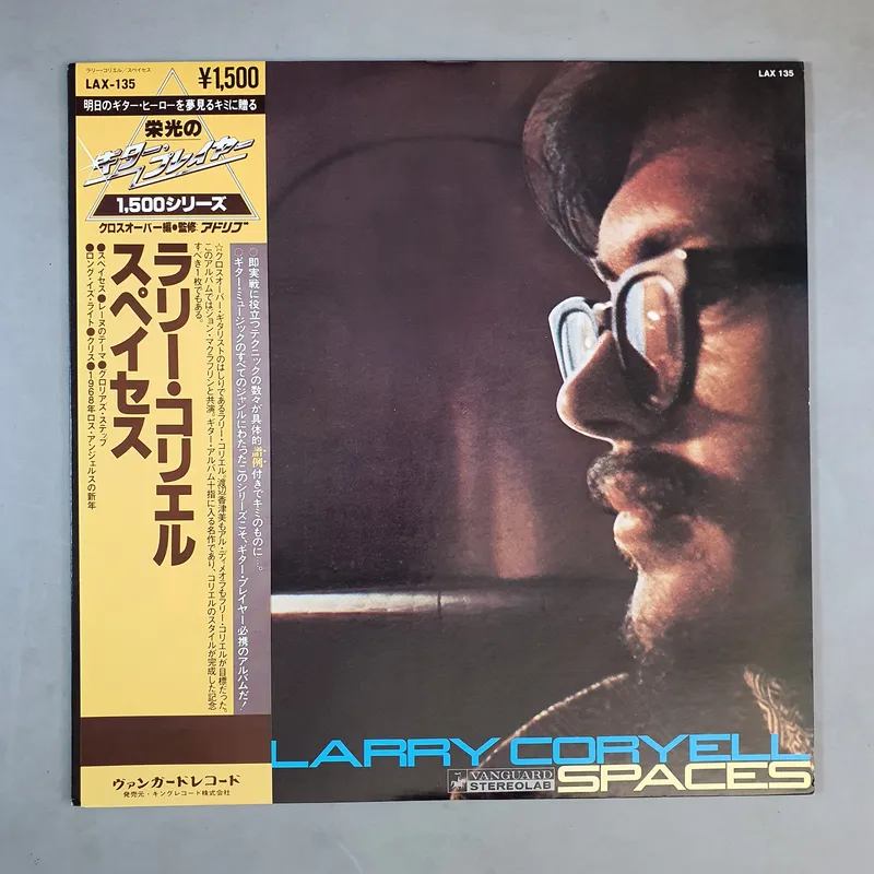 Larry Coryell - Spaces